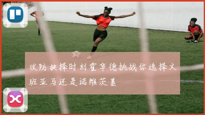 攻防抉择时刻霍华德挑战你选择文班亚马还是诺维茨基