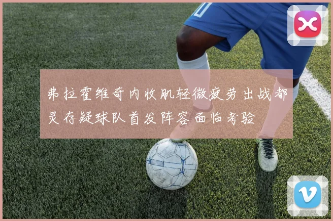 弗拉霍维奇内收肌轻微疲劳出战都灵存疑球队首发阵容面临考验